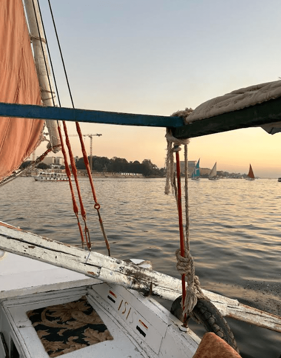 Egypt: Rising Water Levels Threaten Agriculture 